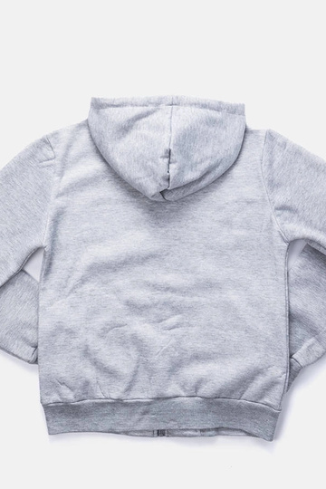 Sweat à capuche gris clair Guerin pour homme 2