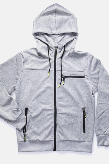 Sweat à capuche gris clair...
