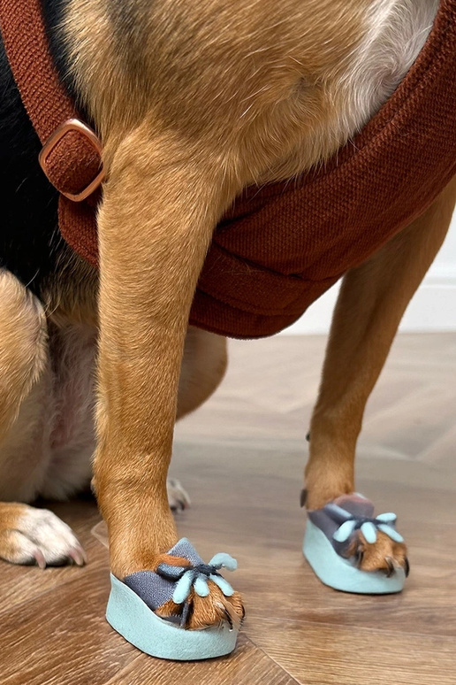 Chaussons roses avec boucles sur... Chaussons roses avec boucles sur...