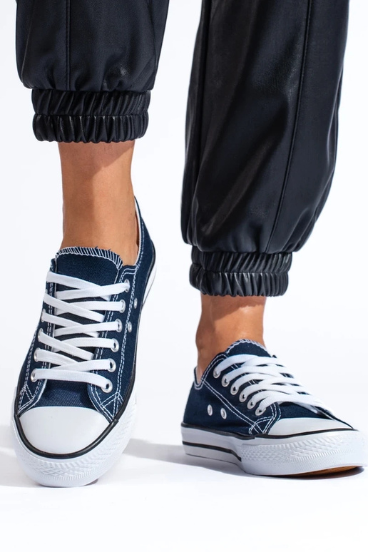 Chaussures bleues modèle classique...