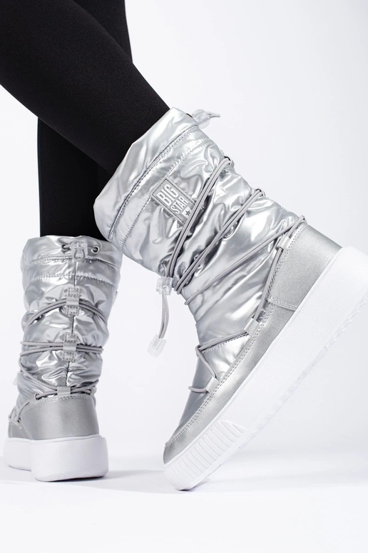 Bottes de neige isolées argentées...