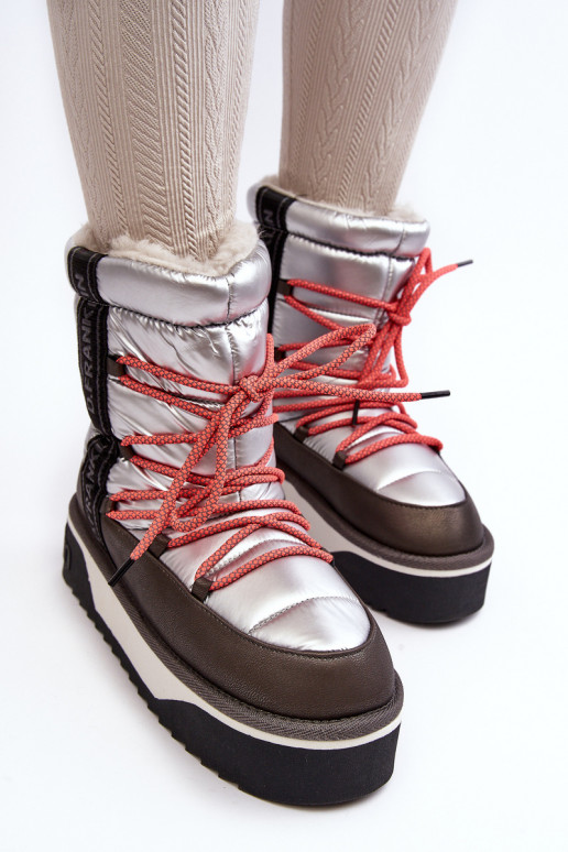 Bottes de neige Féminin Sur une semelle épaisse Végétalien D.Franklin DFSH371006 couleur argent Bottes de neige Féminin Sur une semelle épaisse Végétalien D.Franklin DFSH371006 couleur argent