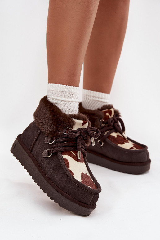 Bottes de neige FémininActivéturalnego en daimu Łaty D.Franklin DFSH375008 CzekoladoÀe