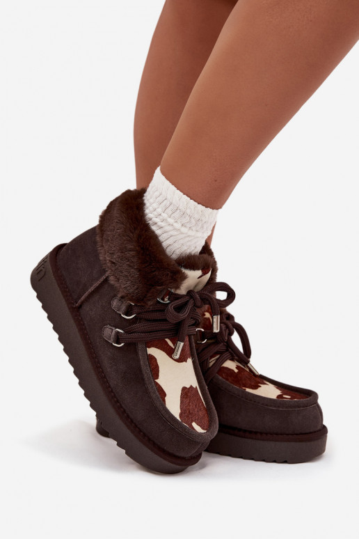 Bottes de neige FémininActivéturalnego en daimu Łaty D.Franklin DFSH375008 CzekoladoÀe