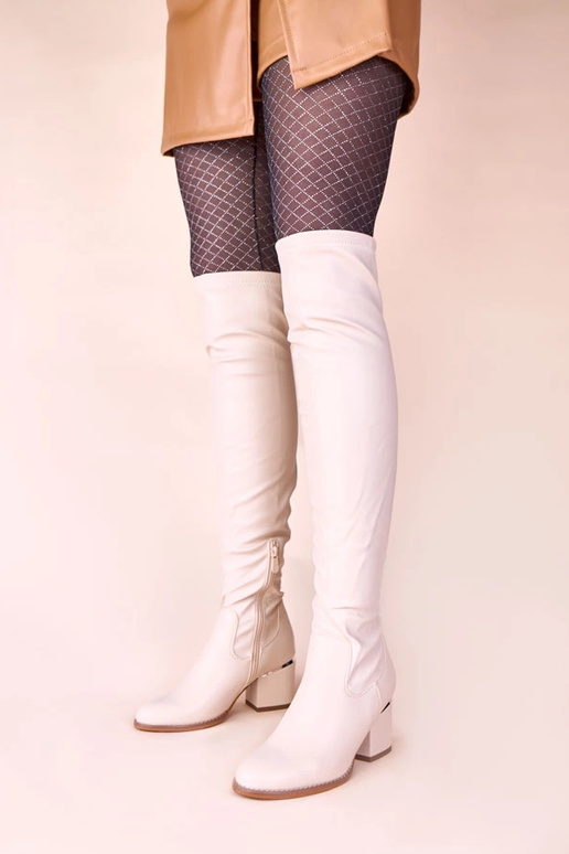 Bottes longues couleur sable...