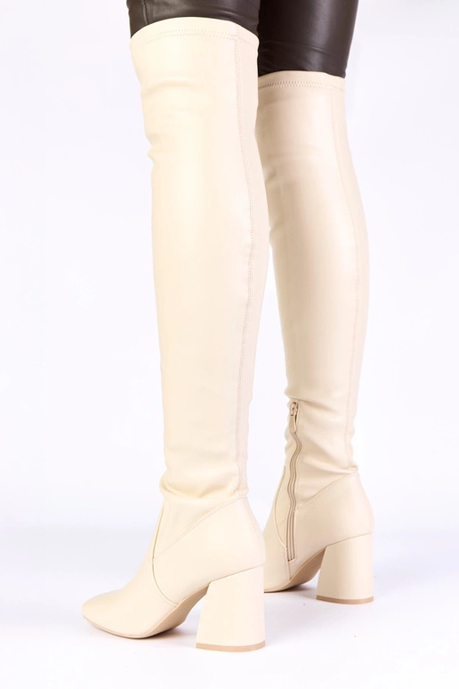 Bottes longues couleur sable...