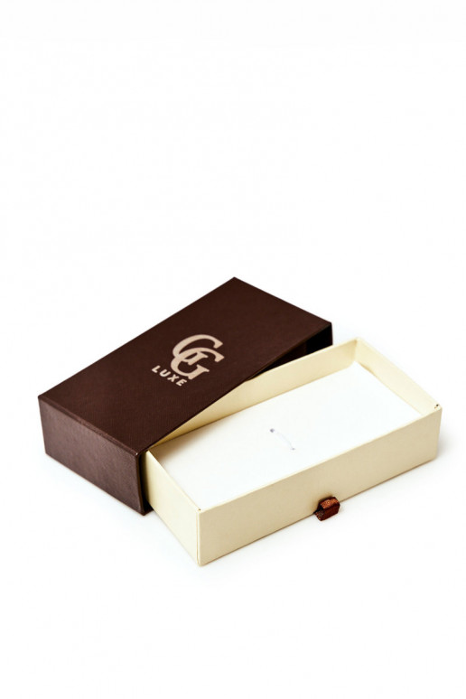 Une boîte Activé Montre GG Luxe marron