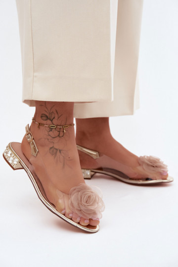 Sandales transparentes pour femmes avec rose D&A MR61-9003 or