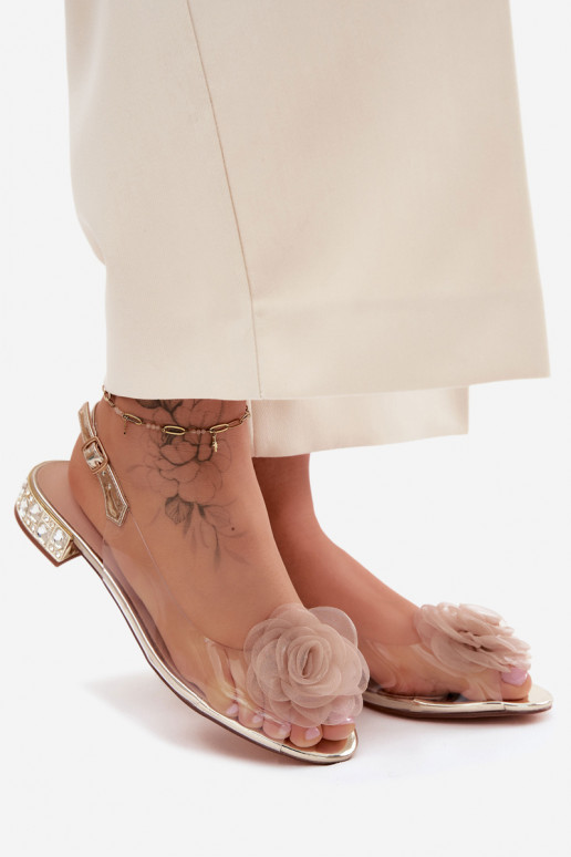 Sandales transparentes pour femmes avec rose D&A MR61-9003 or