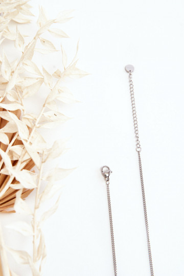 Collier en acier inoxydable de couleur argent 2